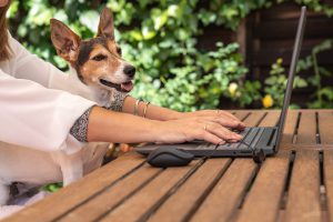 Lenovo ThinkBook 13x to laptop klasy premium, który jest tak samo lekki i kompaktowy jak ultrabook, ale ma moc obliczeniową laptopa z najwyższej półki