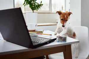 ThinkPad P14s Gen 2 to 14-calowy laptop przeznaczony dla użytkowników biznesowych, którzy chcą wykonywać pracę w podróży